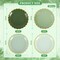 24 Pcs Sage Green Scalloped Party Plates St Patricks Day Gold Foil Paper Plates Disposable 9inch Gradient Serving Plates for Birthday Wedding Bridal Baby Shower Party Supplies